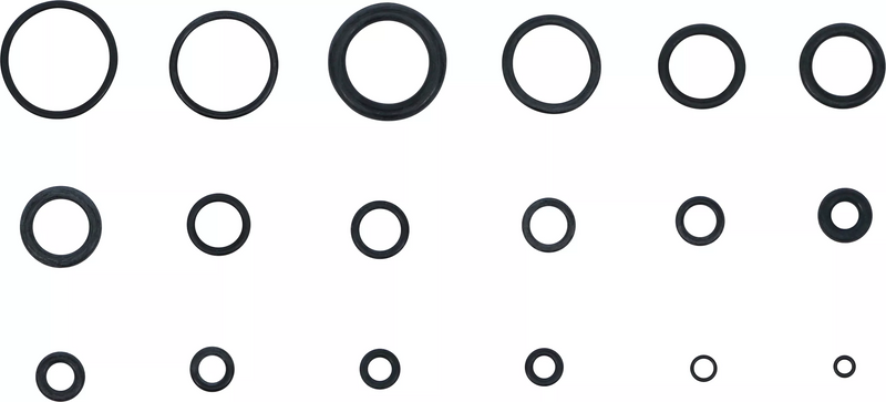 Sortiment av O-ringar | Ø 3 - 22 mm | 225 delar